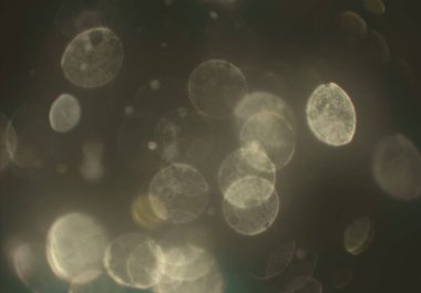 Bokeh ile soyut arkaplan