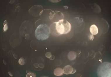 Tasarımınız için parlak bokeh arka plan