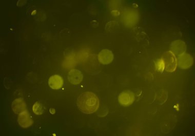 afiş tasarımı için soyut yaratıcı arka plan