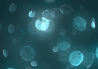 metin veya görüntü için alan ile bokeh arka plan