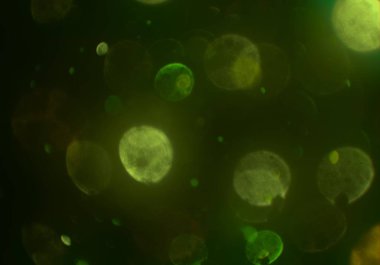 bokeh ile sanat soyut arka plan 