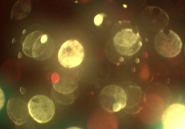 bokeh ile sanat soyut arka plan 