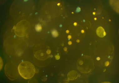 Bokeh ile soyut arkaplan