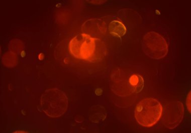 Bokeh ile soyut arkaplan