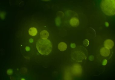 bokeh ile sanat soyut arka plan 