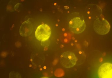 bokeh ile sanat soyut arka plan 