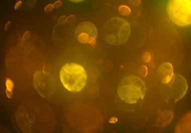 parlak bokeh ışıkları ile dijital duvar kağıdı 