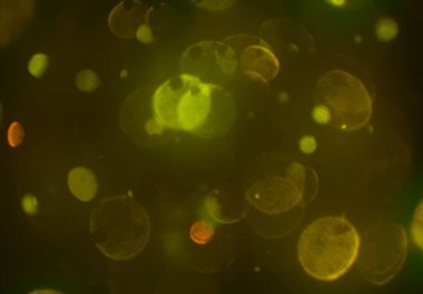 afiş tasarımı için soyut yaratıcı arka plan