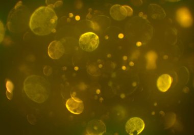 bokeh ile sanat soyut arka plan 