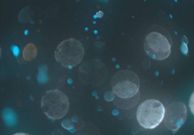 parlak bokeh ışıkları ile dijital duvar kağıdı 