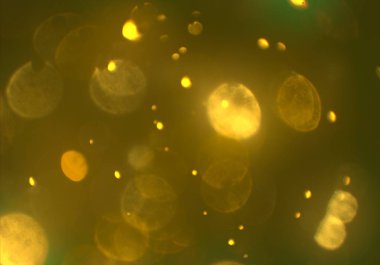 Tasarımınız için parlak bokeh arka plan