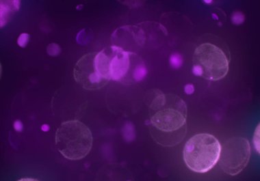 parlak bokeh ışıkları ile dijital duvar kağıdı 