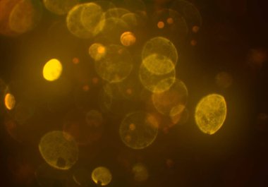 bokeh abstact arka plan ile galaksi