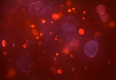 Tasarımınız için parlak bokeh arka plan