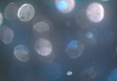 metin veya görüntü için alan ile bokeh arka plan