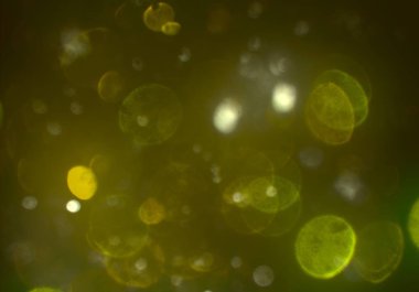 bokeh ile sanat soyut arka plan 