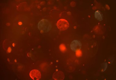 kopya alanı ile bokeh ışıkları dijital arka plan