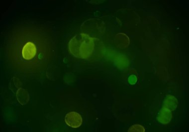 kopya alanı ile bokeh ışıkları dijital arka plan