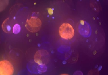 kopya alanı ile bokeh ışıkları dijital arka plan