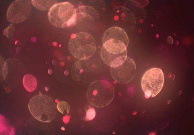 bokeh ve metin için alan ile soyut duvar kağıdı