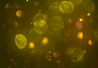 Bokeh ışıkları ile soyut arkaplan