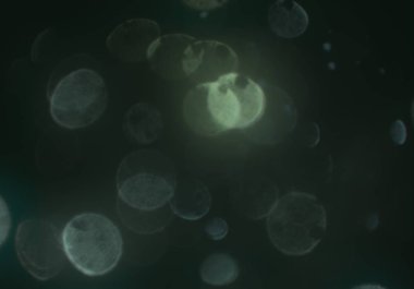 soyut arkaplan, kopyalama alanı