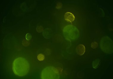 metin veya görüntü için alan ile bokeh arka plan