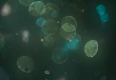 parlak bokeh ışıkları ile dijital duvar kağıdı 