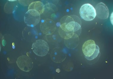 soyut bulanık bokeh arka plan, kopyalama alanı  