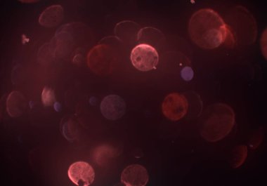 bokeh abstact arka plan ile galaksi