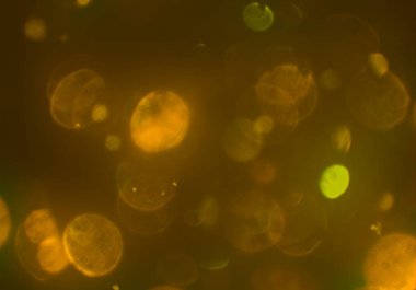 Bokeh ile soyut arkaplan