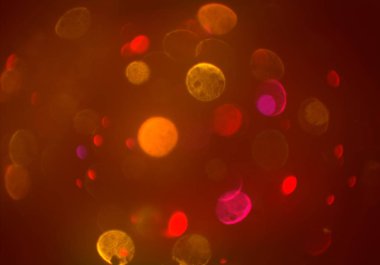 soyut bulanık bokeh arka plan, kopyalama alanı 