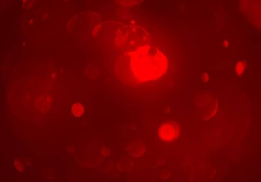 metin veya görüntü için alan ile bokeh arka plan