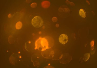 bokeh abstact arka plan ile galaksi