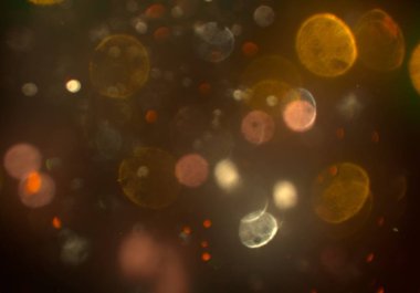 metin veya görüntü için alan ile bokeh arka plan