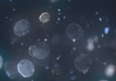 soyut arkaplan, kopyalama alanı