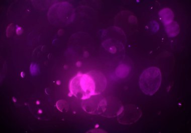 parlak bokeh ışıkları ile dijital duvar kağıdı 