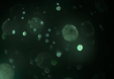 metin veya görüntü için alan ile bokeh arka plan