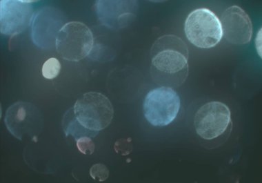 soyut bulanık bokeh arka plan, kopyalama alanı  