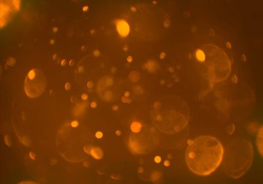 bokeh ile sanat soyut arka plan 