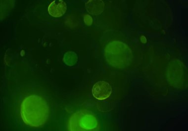 bokeh ile sanat soyut arka plan 