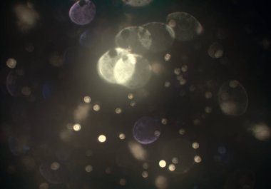 bokeh ve metin için alan ile soyut duvar kağıdı