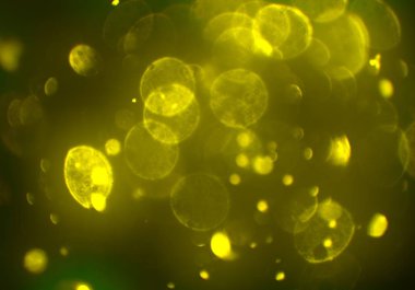 bokeh abstact arka plan ile galaksi