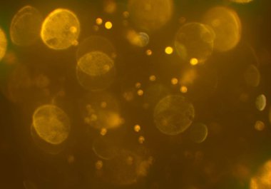 bokeh abstact arka plan ile galaksi