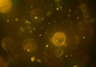 bokeh ile sanat soyut arka plan 