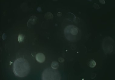 metin veya görüntü için alan ile bokeh arka plan