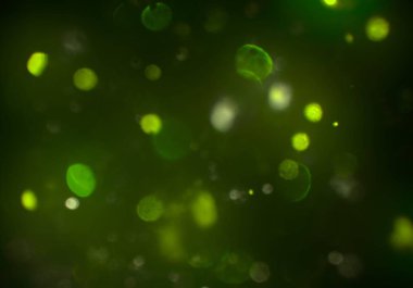 soyut bulanık bokeh arka plan, kopyalama alanı  