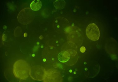 bokeh ile sanat soyut arka plan 