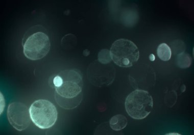 Bokeh ışıkları ile soyut arkaplan