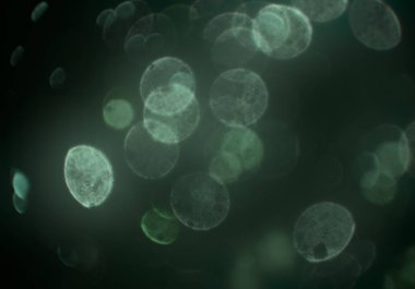 afiş tasarımı için soyut yaratıcı arka plan